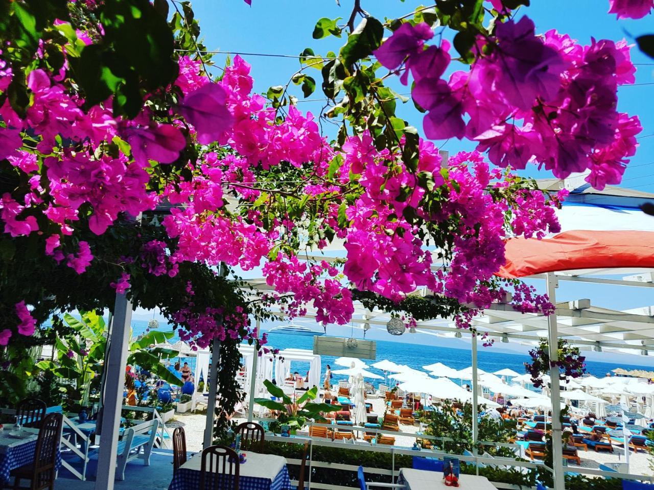 Dream Hotel Saranda Exteriér fotografie
